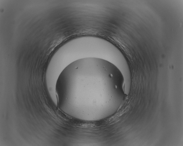 X0000087310168200705180955