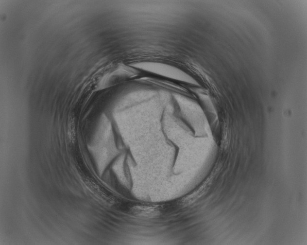 X0000087310170200705180955