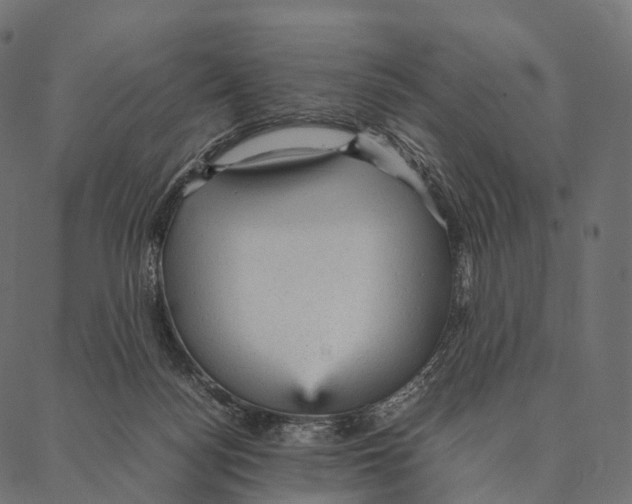 X0000087310172200705180955