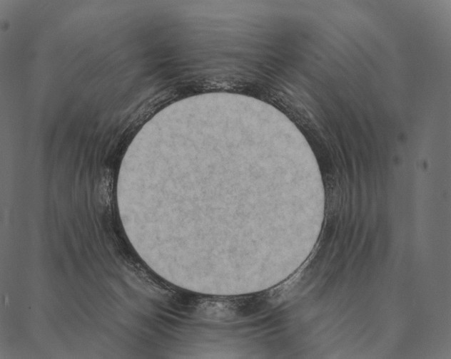 X0000087310174200705180955