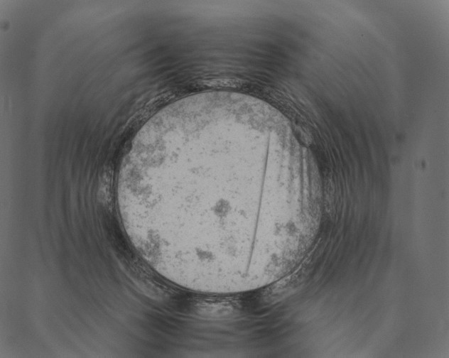 X0000087310175200705180955