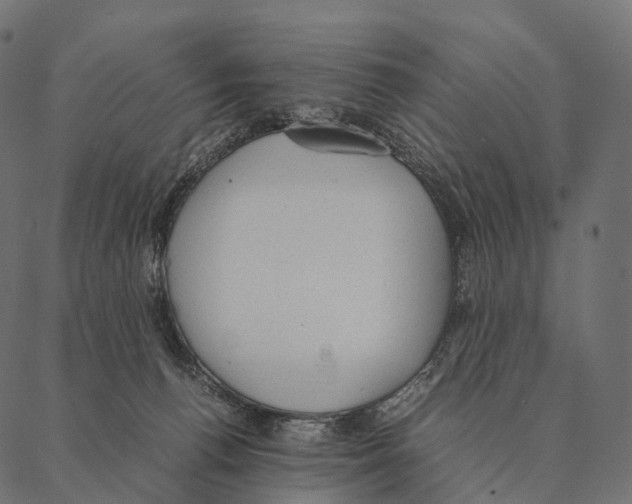 X0000087310176200705180955