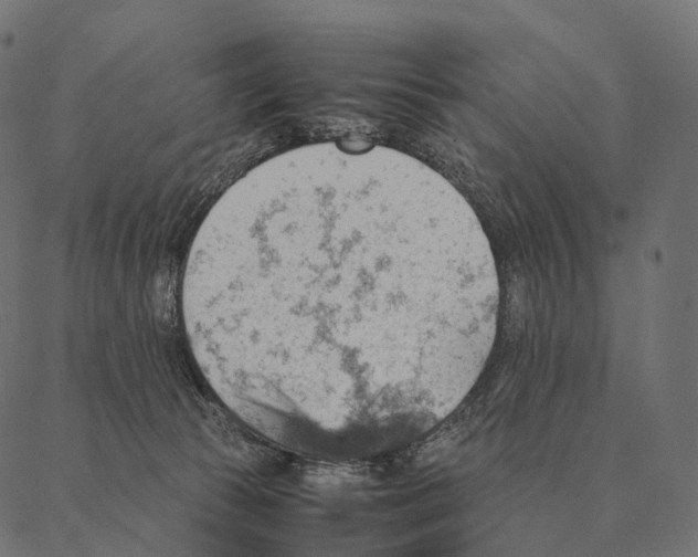 X0000087310177200705180955