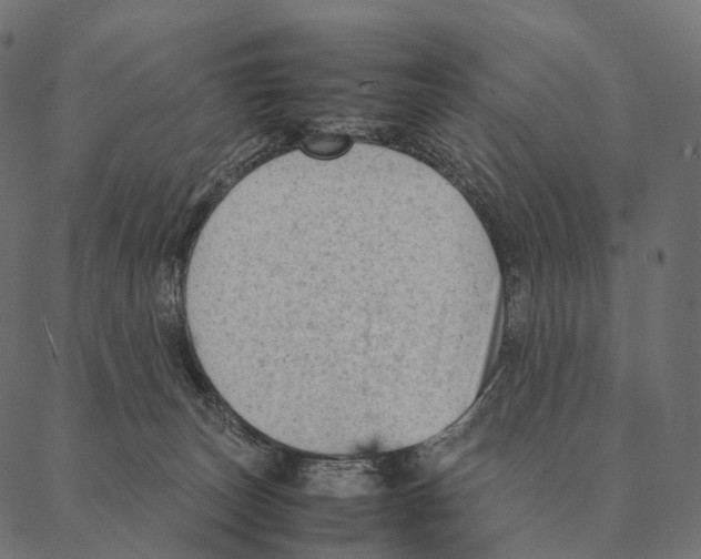 X0000087310179200705180955