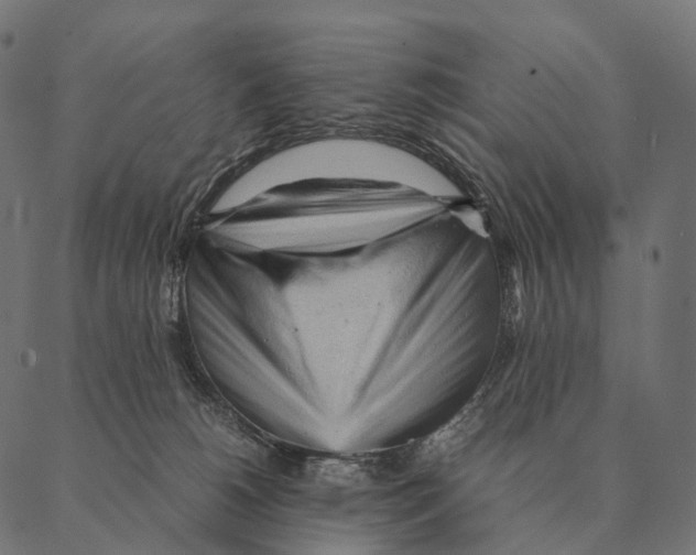 X0000087310180200705180955