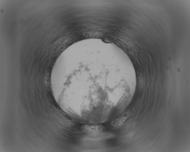 X0000087310181200705180955