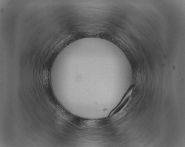 X0000087310184200705180955