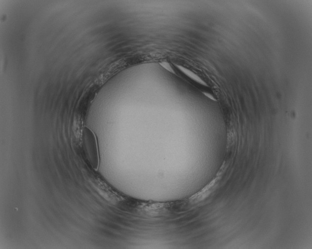 X0000087310186200705180955