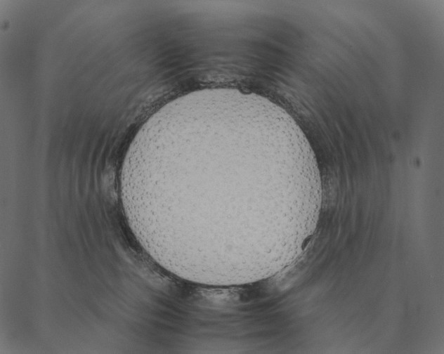 X0000087310187200705180955