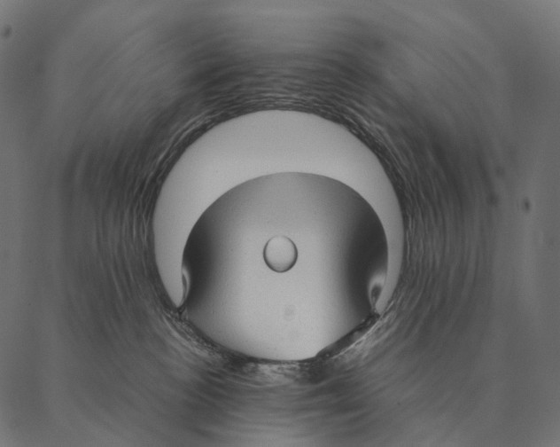 X0000087310188200705180955