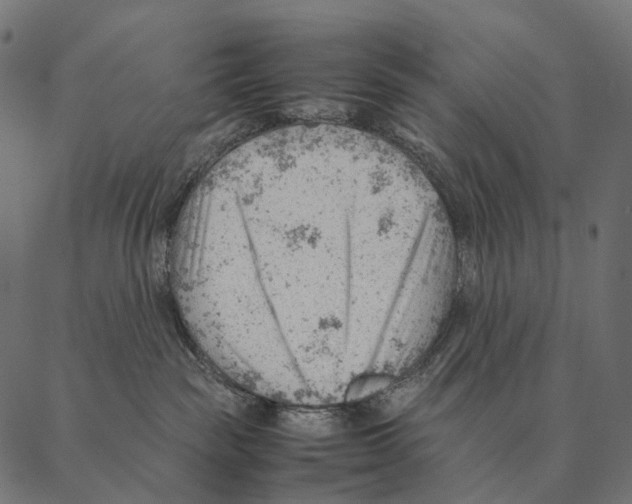 X0000087310189200705180955