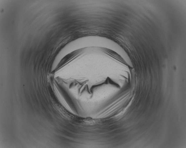 X0000087310190200705180955