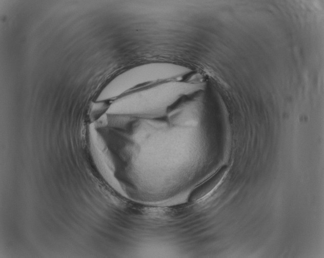 X0000087310192200705180955