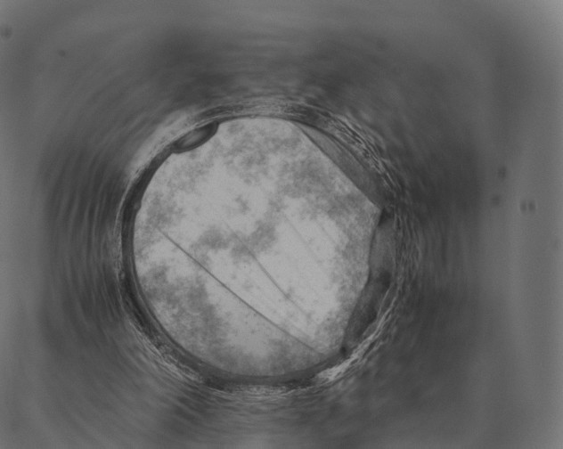 X0000087310198200705180954