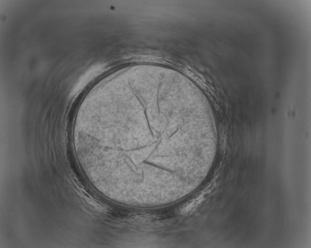 X0000087310199200705180954