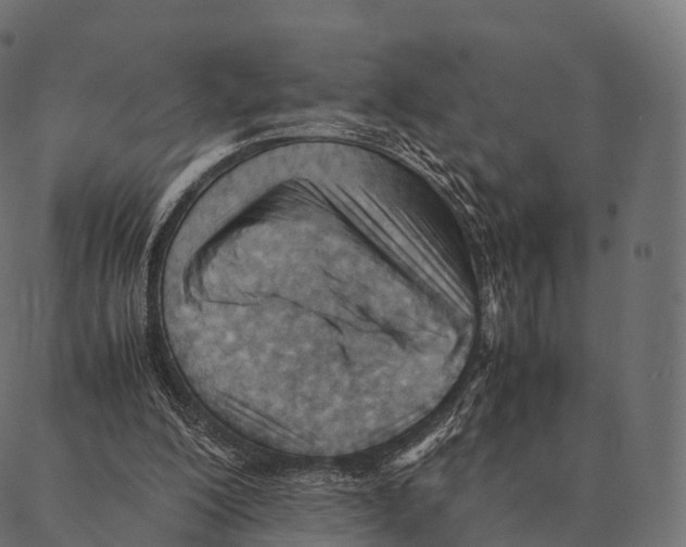 X0000087310200200705180954