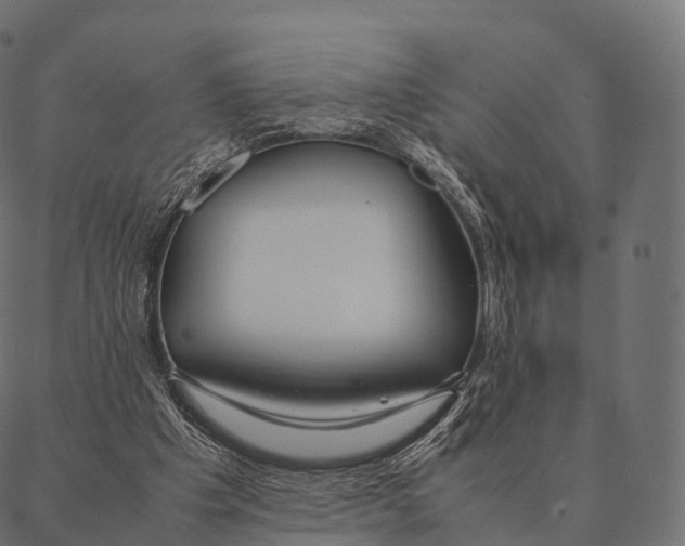 X0000087310201200705180954