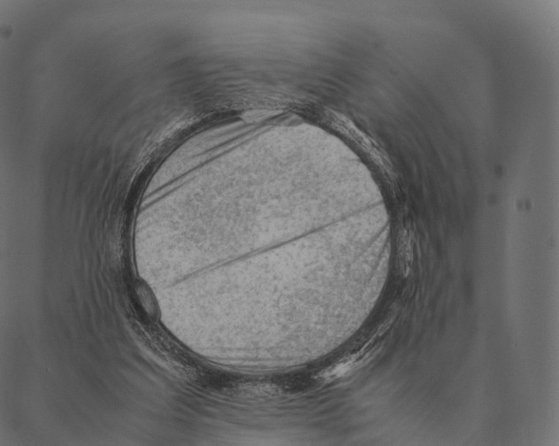 X0000087310203200705180954