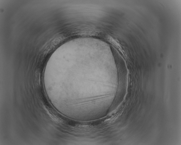 X0000087310205200705180954