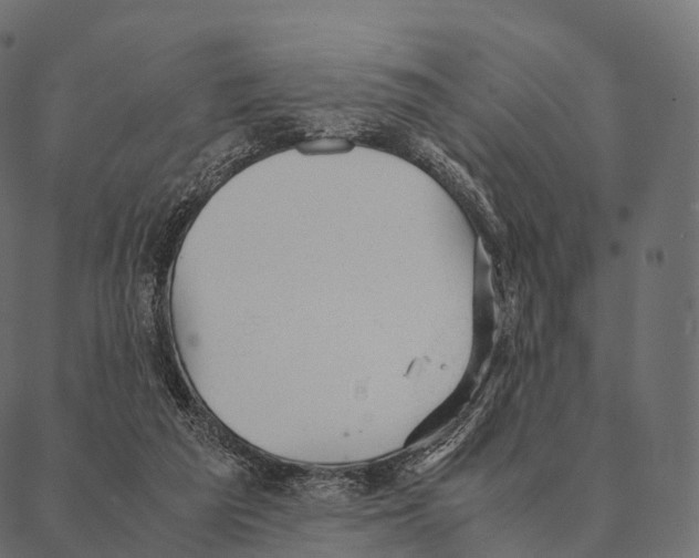 X0000087310209200705180954