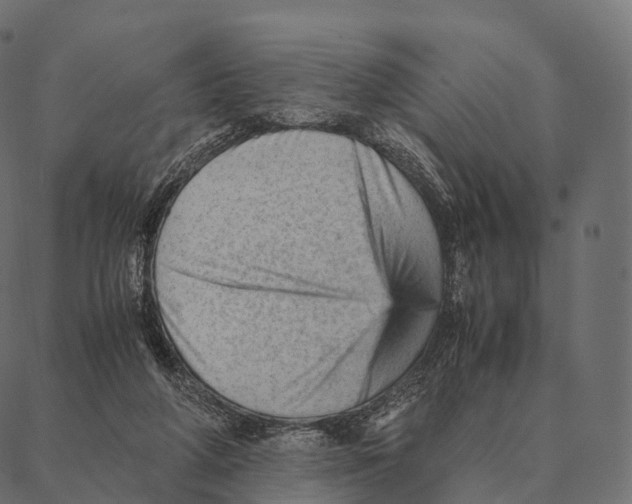 X0000087310210200705180954