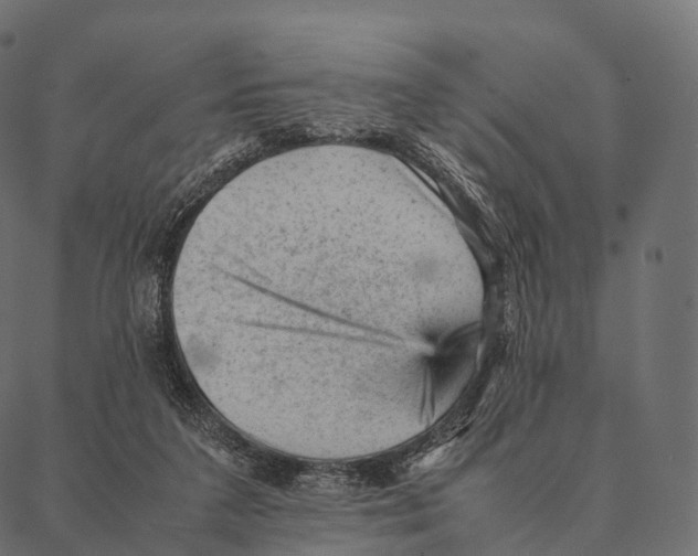 X0000087310211200705180954