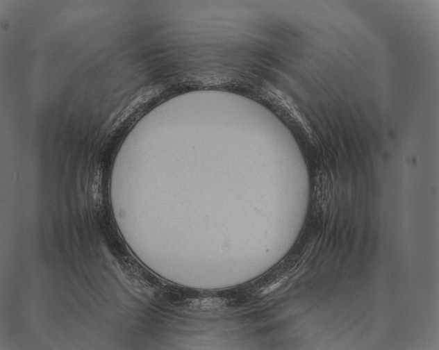 X0000087310212200705180954