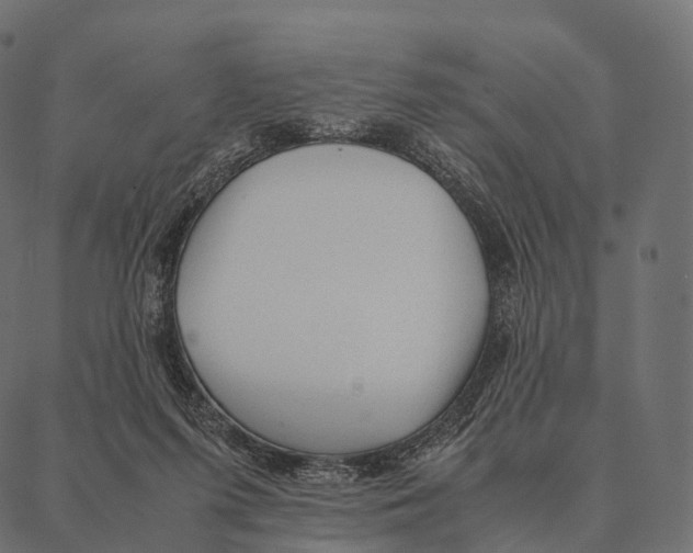 X0000087310215200705180954