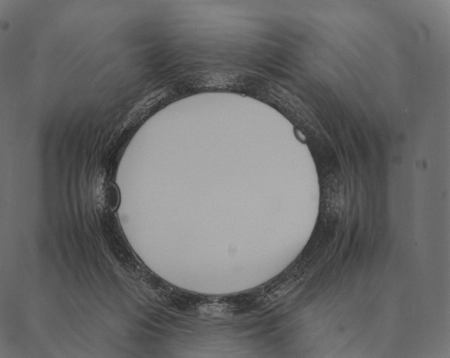 X0000087310216200705180954