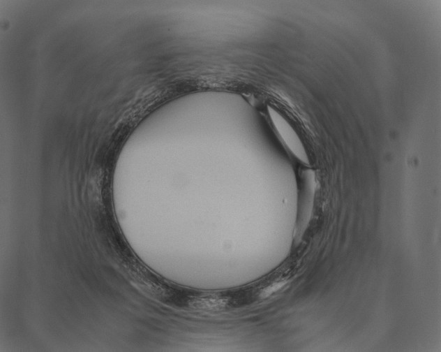 X0000087310217200705180954