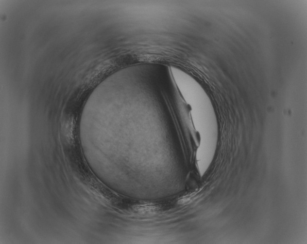 X0000087310219200705180954