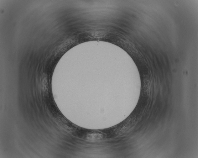 X0000087310220200705180954