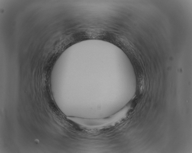 X0000087310221200705180954