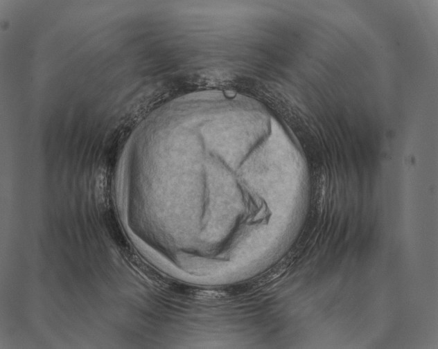 X0000087310222200705180954