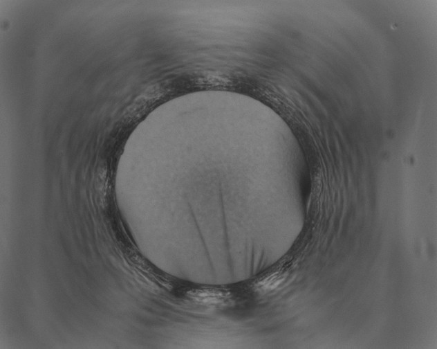 X0000087310223200705180954