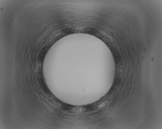 X0000087310225200705180954