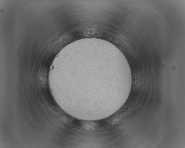 X0000087310226200705180954