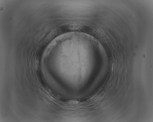 X0000087310227200705180954