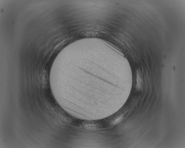 X0000087310228200705180954