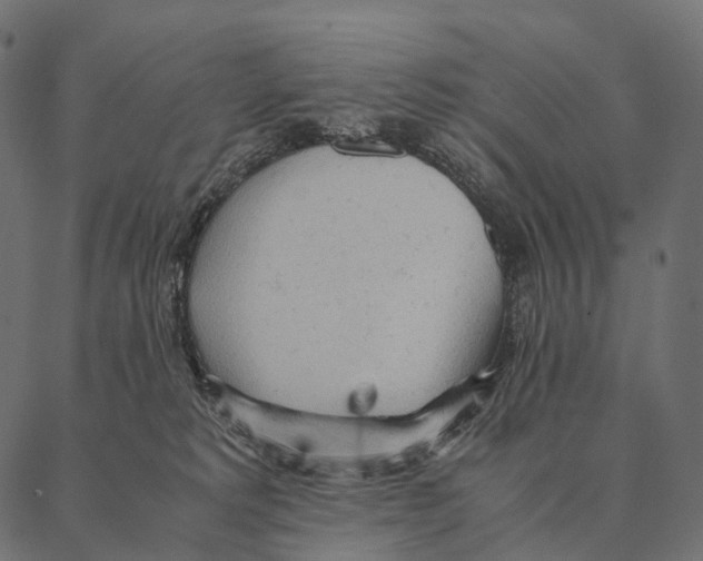 X0000087310229200705180954