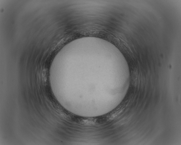 X0000087310232200705180954