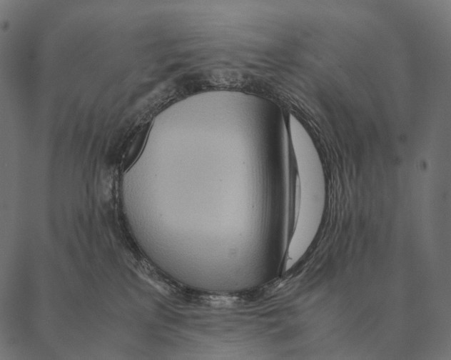 X0000087310233200705180954