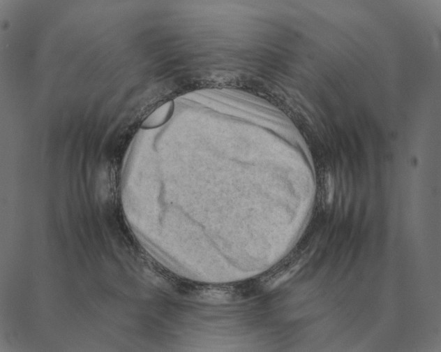 X0000087310236200705180954