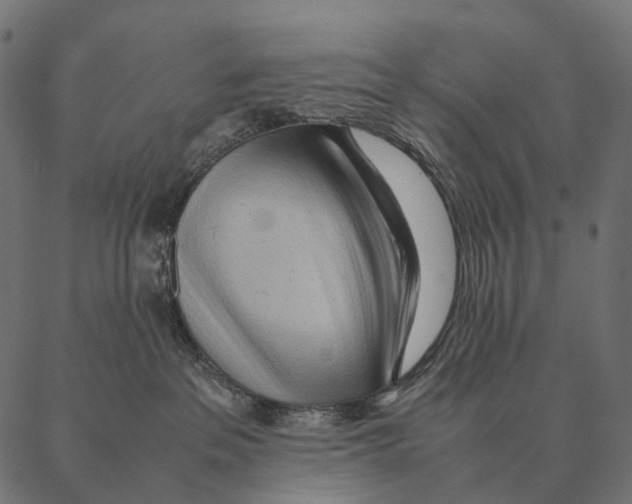 X0000087310237200705180954