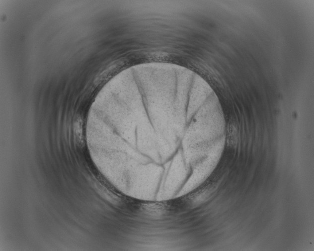 X0000087310238200705180954