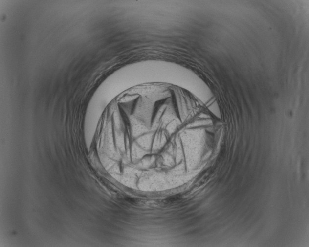 X0000087310239200705180954