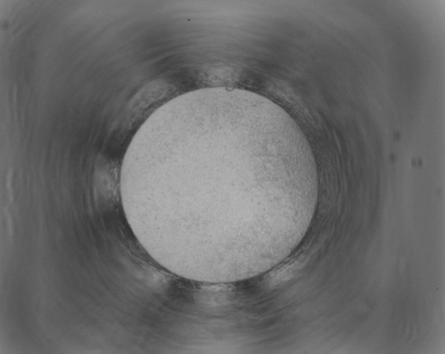 X0000087310240200705180954