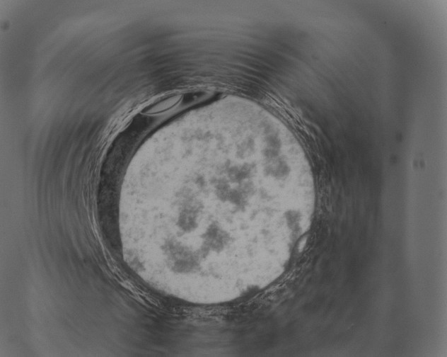 X0000087310241200705180953