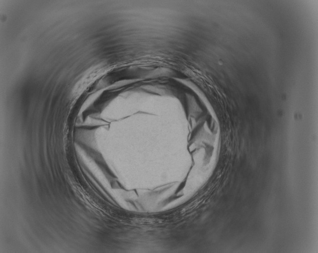 X0000087310242200705180953