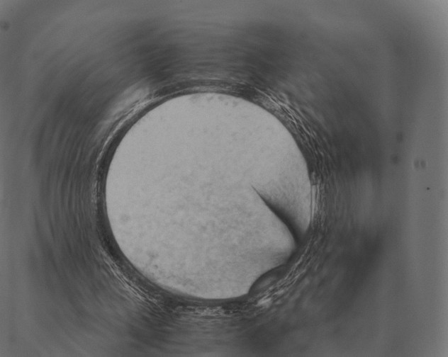 X0000087310243200705180953